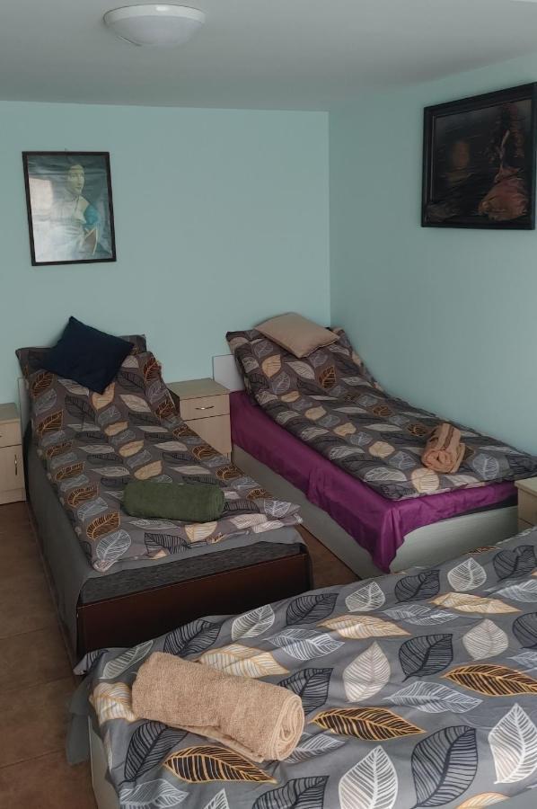 Hostel U Misiow Suwałki Exteriér fotografie