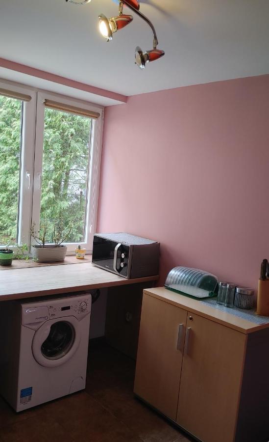 Hostel U Misiow Suwałki Exteriér fotografie